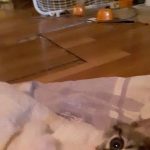 Meet your Posher, Abbi